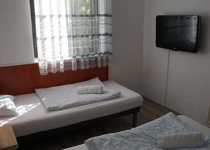 Majus 1 Vendeghaz -