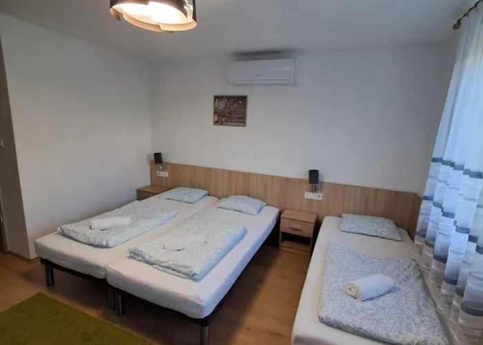 Majus 1 Vendeghaz -